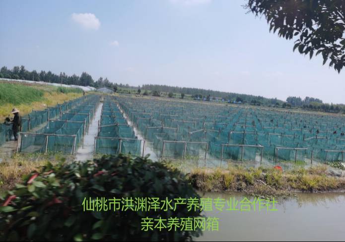 3499拉斯维加斯(官方认证)网站-Made in PRC